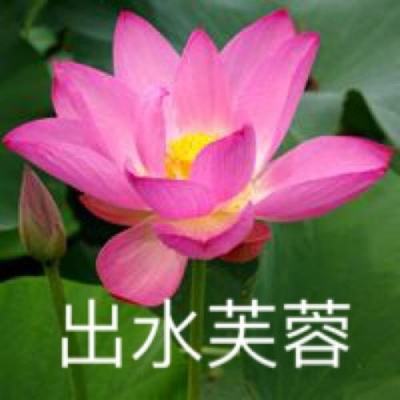wow变态版手机版